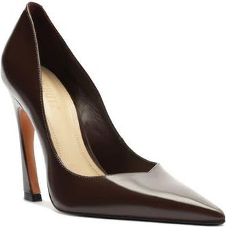 Schutz Lexi Pointed Toe Pump in Chestnut Brown at Nordstrom, Size 9.5