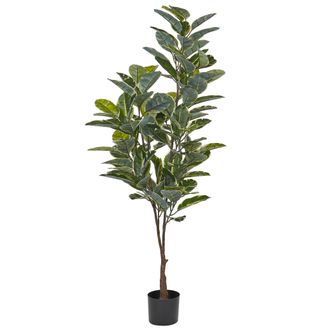 Beliani Planta Artificial En Maceta Para Interior Decoraci&oacute;n De Pl&aacute;stico Maceta Negra 160 Cm Ficus Elastica