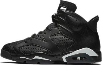 Nike Jordan Air Jordan 6 Retro Black Cat 384664-020