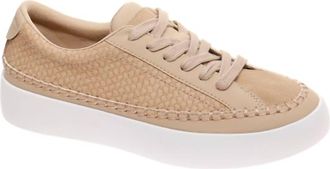 Pierre Dumas Womens Shauna Tennis Shoe In Taupe