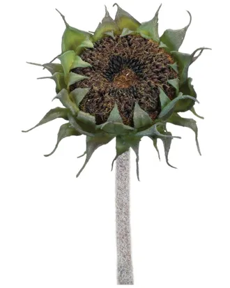Melrose International Set Of 6 Brown Sunflower Stem