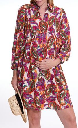 Cache Coeur Soledad Maternity and Nursing Shirt Dress in Paisley Mutli at Nordstrom, Size X-Small