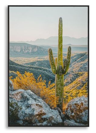 Mauro Ferretti L&aacute;mina Sobre Lienzo Lacado Con Marco Cactus -b- Cm 60x4x90