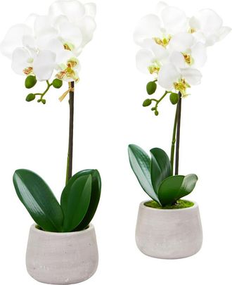 Nearly Natural Phalaenopsis Orchid Artificial Arrangement in White at Nordstrom