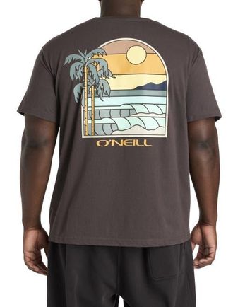 O'Neill Big & Tall Glassy Days Graphic Tee in Graphite at Nordstrom, Size 3X Big