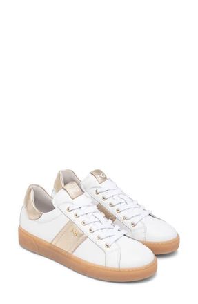 Nero Giardini Low Top Sneaker in White at Nordstrom, Size 11Us