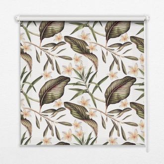 Tulup Tenda A Rullo Interna Per Finestra - Tenda Filtrante Luce - Tenda Privacy - Tenda Decorativa Rettangolare - Rullo Per Interni - (100 Cm X 100 Cm) - Fi