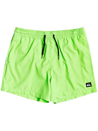 Quiksilver Everyday Volley 15 Boardshorts groen
