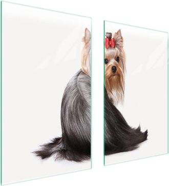 OEM Placa Protectora De Vidrio Para Estufa 75x52 Perro