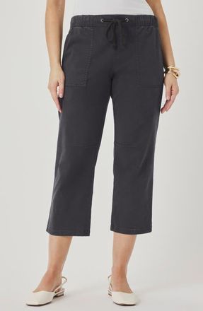 Splendid Regina Crop Pants in Lead Grey at Nordstrom, Size X-Small