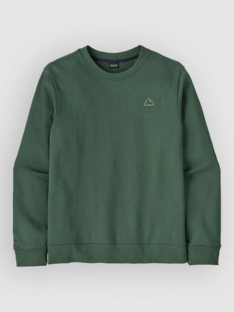 Patagonia Fitz Roy Massif Daily Crew Jersey verde