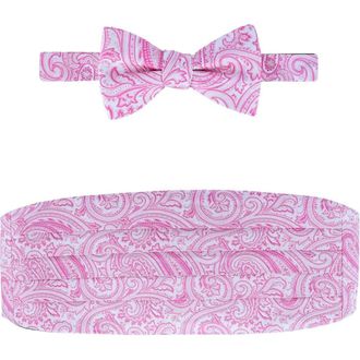 Trafalgar Store Sobee Paisley Cummerbund and Bow Tie Set in Pink at Nordstrom