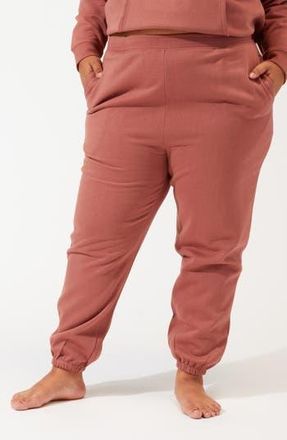 Threads 4 Thought Invincible Fleece Jogger in Cinnamon at Nordstrom Rack, Size 2 X