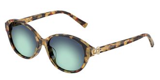Tiffany & Co. TF4263D Asian Fit 80649S Womens Sunglasses Tortoiseshell Size 54