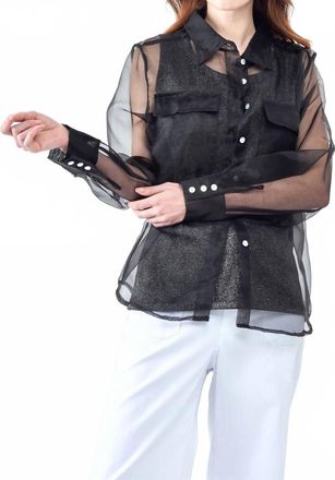 Insight Sheer Organza Solid Blouse In Black