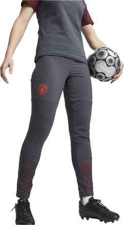 Puma Dames/Dames Manchester City FC Tapered Joggingbroek (Grijs)