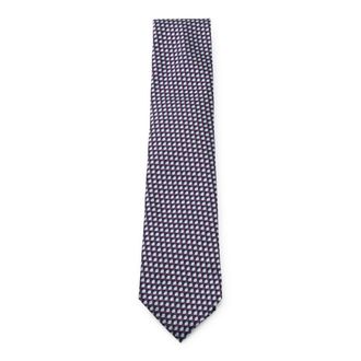 Ermenegildo Zegna Ties Purple-Uomo