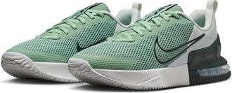 Nike Air Max Alpha Trainer 6 Mens Cross Training Shoes Steam/Black Spruce/Spruce Aura/Off White : 10.5 D - Medium, Textile