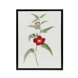 Artery8 Pomegranate Flower Framed Canvas Wall Art Print Vintage Japan Botanical in Green | Size: W24 x H32