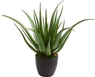 Nearly Natural Aloe Artificial Plant in Green at Nordstrom