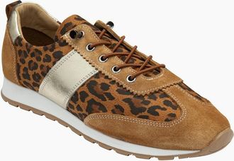 Lotus Womens Lola Womens Trainers - Brown - Size: 7