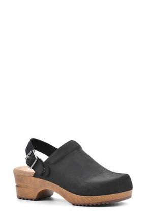 White Mountain White Mountain Being Buckled Leather Clog in Black/Nubuck at Nordstrom Rack, Size 6.5