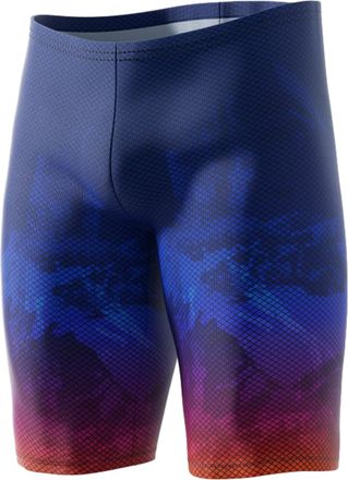 361&deg; &deg; Swim Jammers for Men, Pro Racing Training Swimsuit, Chlorine Resistant Endurance Mens Swim Suit Swimwear Tech Pant, Blue/Pink Mountain, XXL