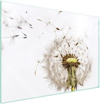 OEM Placa Protectora De Vidrio Para Estufa 70x52 Flor