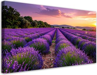 Feeby Cuadro Sobre Lienzo, Campo De Lavanda Atardecer, 120x60