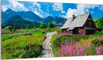 OEM Placa Protectora De Vidrio Para Estufa 90x52 Monta&ntilde;as