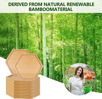 No Brand Posavasos De Bamb&uacute; - Bandejas Base Vac&iacute;as Para Manualidades, Mosaicos Diy, Posavasos Para Plantas, Vasos Y Velas - Hexagonales
