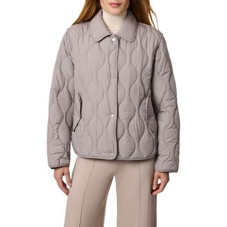 Bernardo Quilted Jacket in Ash at Nordstrom Rack, Size Xx-Large