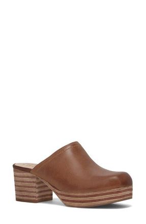 Frye Campus Leather Clog in Saddle at Nordstrom, Size 7.5