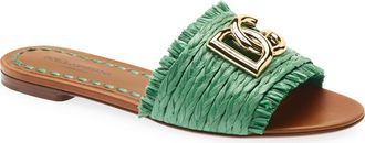 Dolce & Gabbana DG Logo Raffia Slide Sandal in 8B606 Verde/sabbia at Nordstrom, Size 37.5
