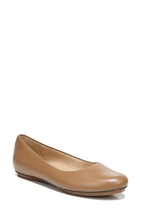 Naturalizer True Colors Maxwell Flat in Cafe Leather at Nordstrom, Size 5.5