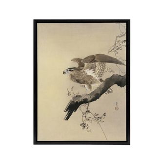 Artery8 Hawk Bird of Prey on Tree Branch Framed Canvas Wall Art Print Koson in Beige | Size: W24 x H32