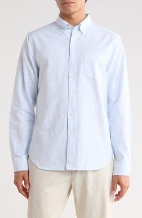 Reigning Champ Oxford Windsor Cotton Shirt in White-Blue at Nordstrom Rack, Size Xx-Large