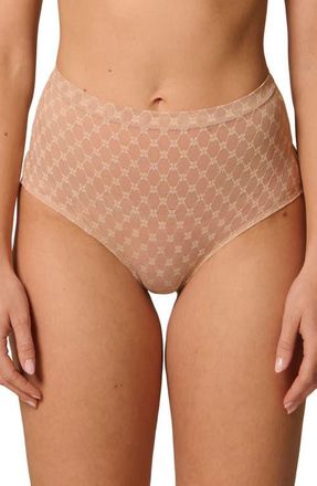 Simone P&eacute;r&egrave;le Plume Embroidered Shaping Briefs in Peau Rose at Nordstrom, Size X-Large
