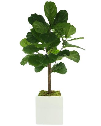 Creative Displays Inc. Fiddle Leaf Tree In A White Square Pot