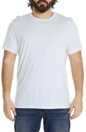 Johnny Bigg Essential Crewneck T-Shirt in White at Nordstrom, Size Xxx-Large