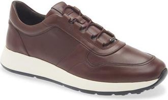Tod's Sportivo 7 Red Dot Sneaker in Caffe at Nordstrom, Size 10.5