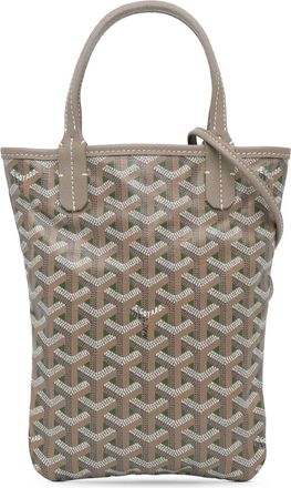 Goyard 2023 Goyardine Poitiers Claire Voie satchel - Grey