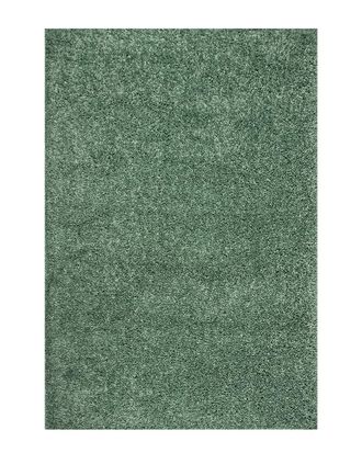 nuLOOM Nuloom Kara Solid Shag Green Rug