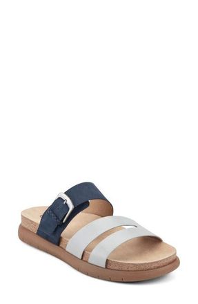 Earth Ayden Slide Sandal in Dark Blue at Nordstrom, Size 7.5