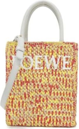 Loewe Pre-owned Mini Bags, female, Multicolor, Size: ONE SIZE Pre-owned Raffia Shoulder Bag