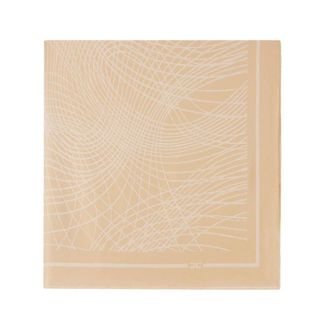 Elisabetta Franchi Scarves, female, Brown, Size: ONE SIZE Foulard Scarf with Lurex