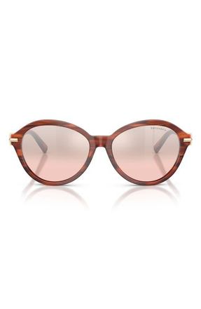 Tiffany & Co. 56mm Gradient Round Sunglasses in Ruby Striped Havana /Pink at Nordstrom