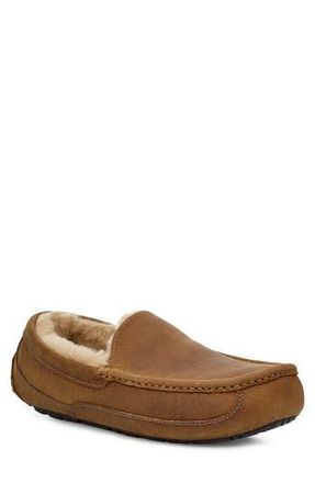 UGG Ascot Loafer Slipper in Tan at Nordstrom Rack, Size 9