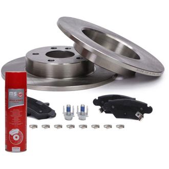 OEM Discos + Pastillas De Freno Traseros 201002501