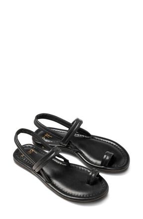 beek Pavo Toe Loop Sandal in Black at Nordstrom, Size 10